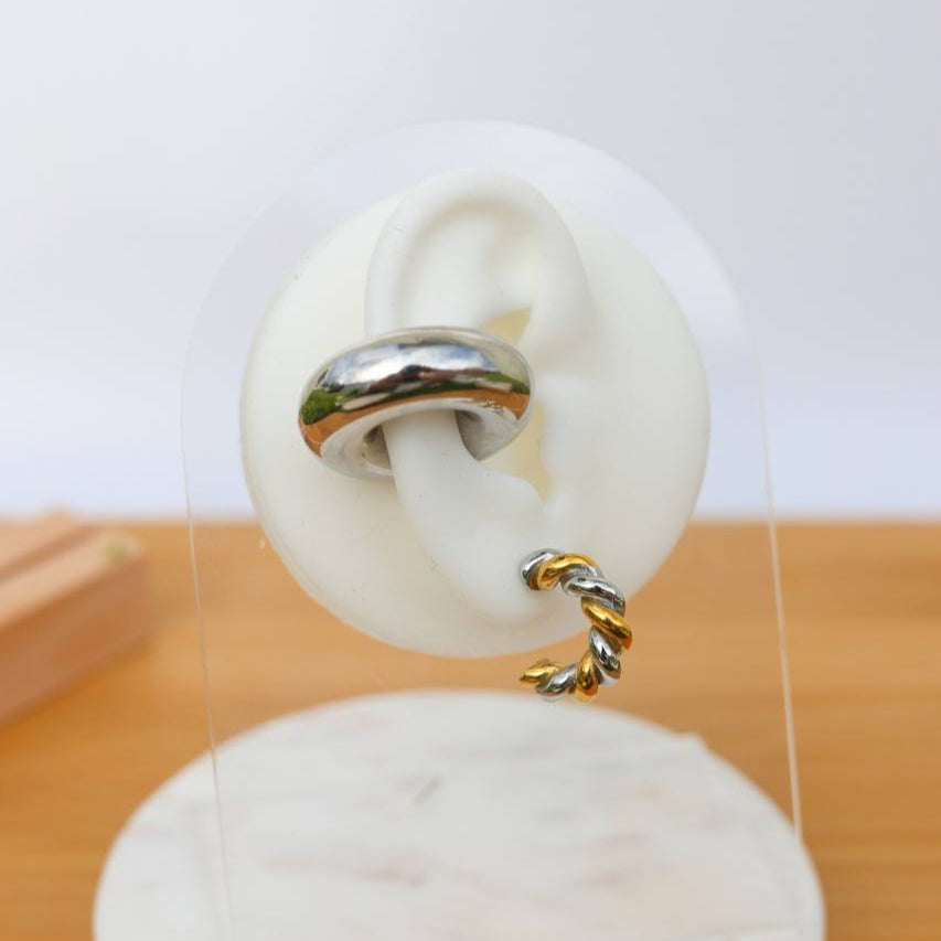 2 colors spiral earing