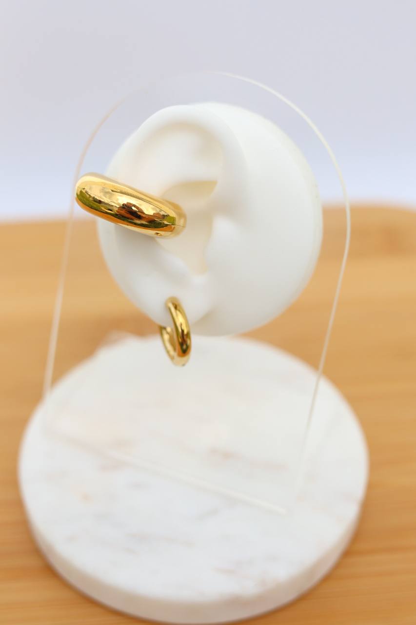 Plain Hoops earings
