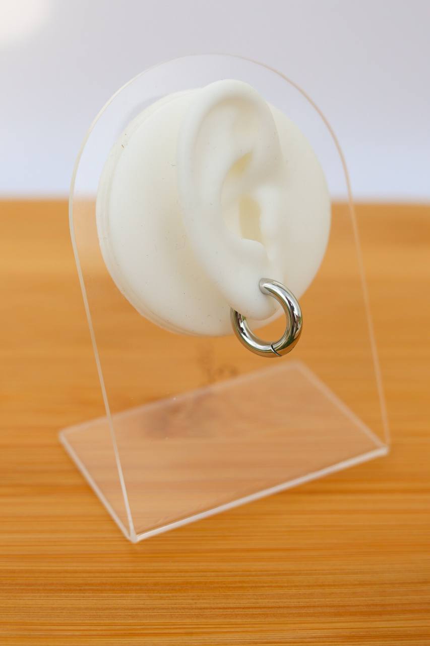Plain Hoops earings